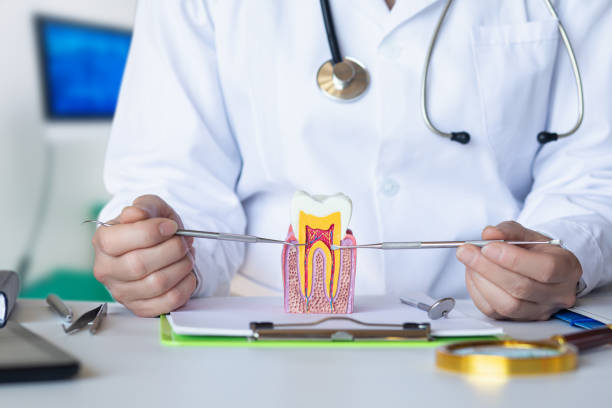 Best Emergency Dental Care for Broken or Chipped Teeth in Slatington, PA